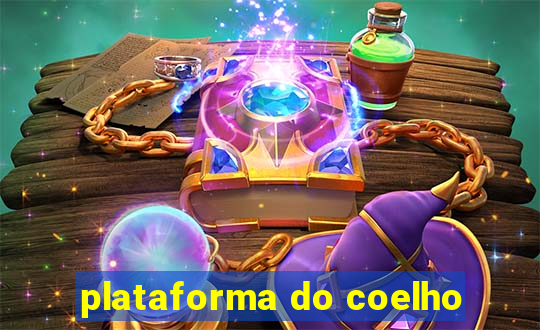 plataforma do coelho